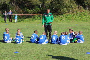 开云在线登入-替补席能否发挥稳定战术执行能力影响赛季后期，替补席是什么意思